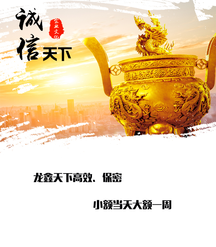和政要债公司